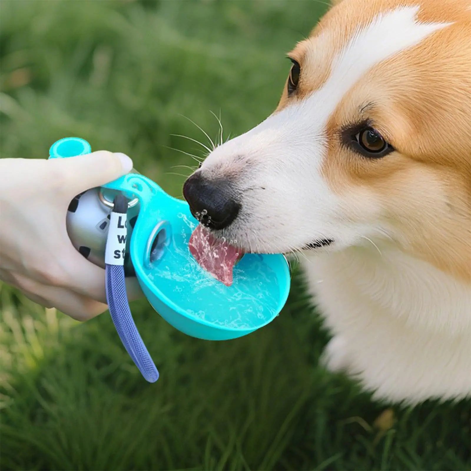 HydroPaws Water Bottle Bowl 🐾💦
